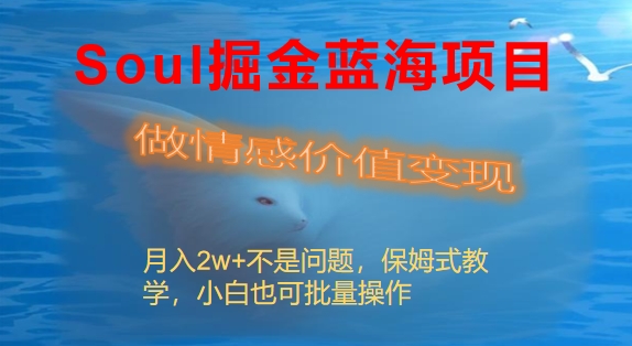 Soul掘金蓝海项目细分赛道，做情感价值变现，月入2w+不是问题-喃哩哩