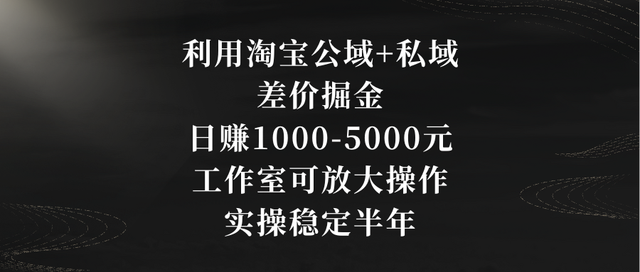 利用淘宝公域+私域差价掘金，日赚1000-5000元，工作室可放大操作，实操…-喃哩哩