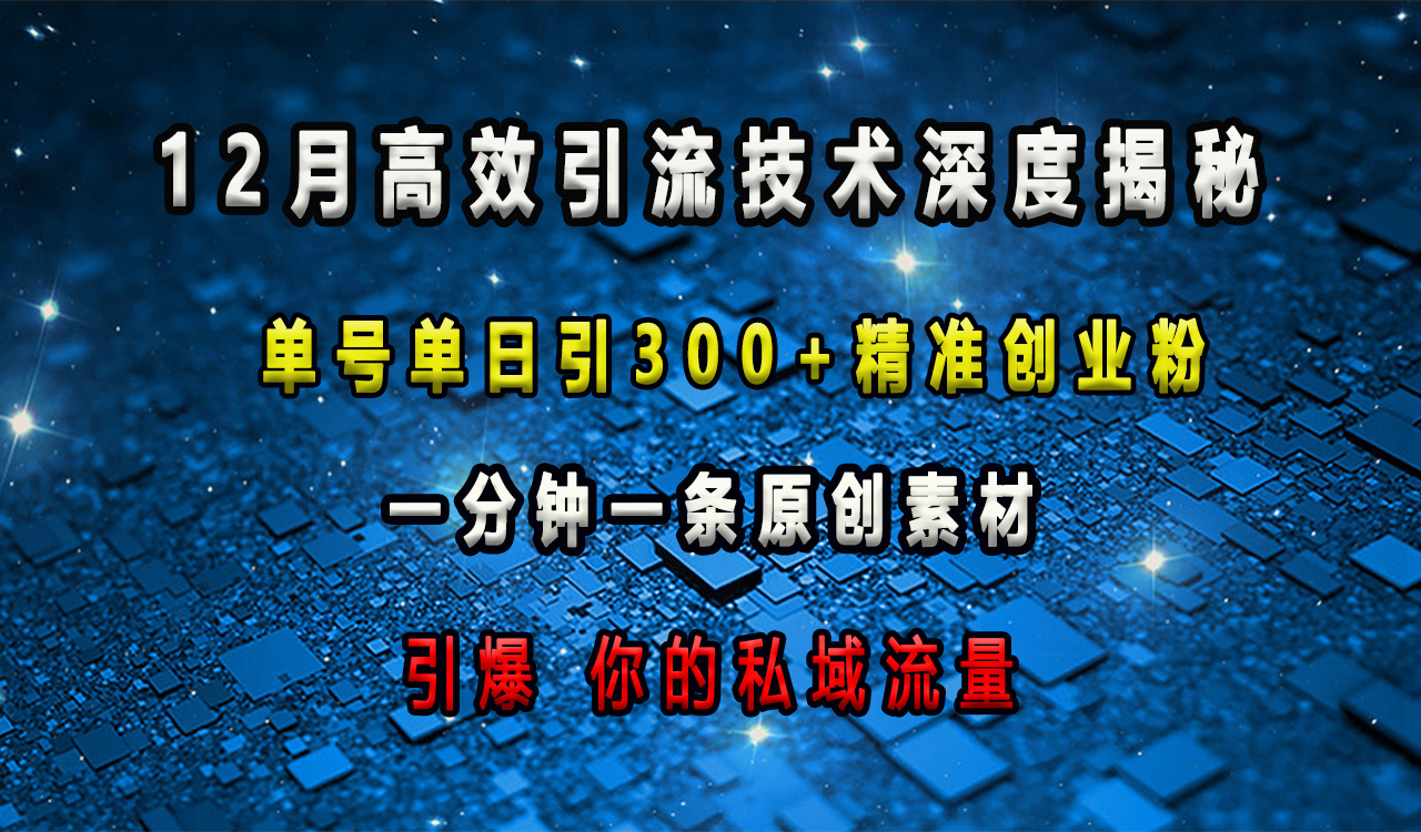 12月高效引流技术深度揭秘 ，单号单日引300+精准创业粉，一分钟一条原创素材，引爆你的私域流量-喃哩哩