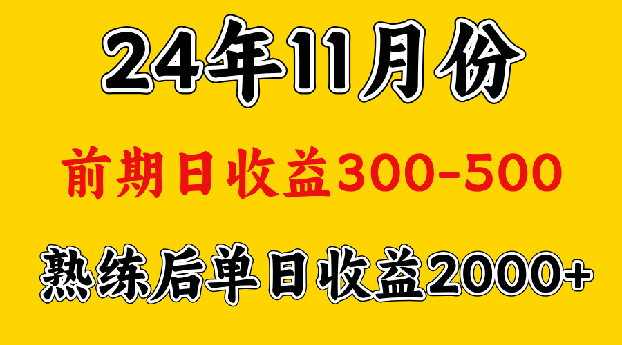 轻资产项目，前期日收益500左右，后期日收益1500-2000左右，多劳多得-喃哩哩