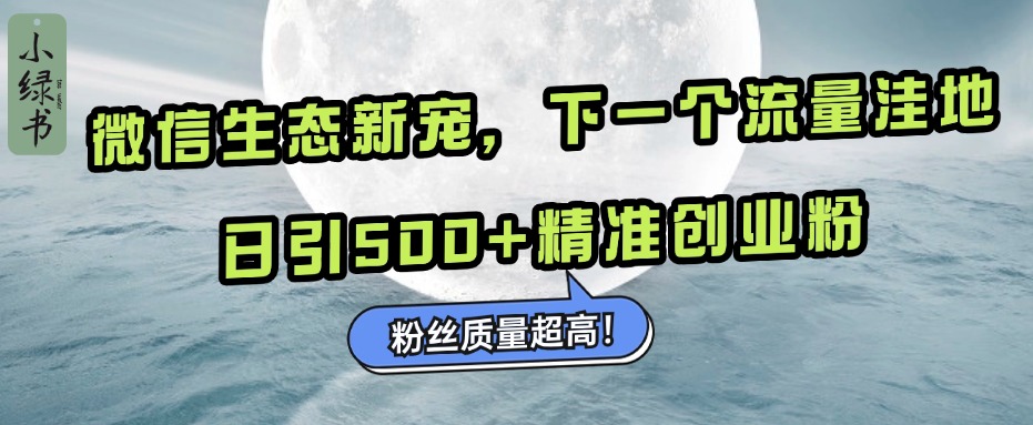 微信生态新宠小绿书：下一个流量洼地，粉丝质量超高，日引500+精准创业粉，-喃哩哩