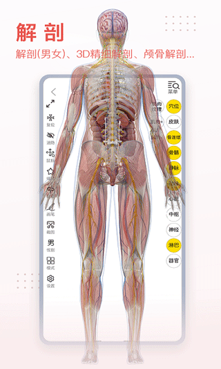 3dbody解剖苹果版 v8.8.21-喃哩哩
