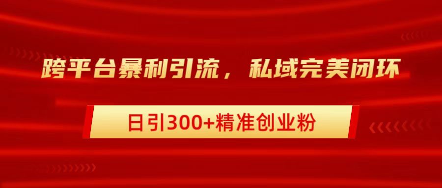 跨平台暴力引流，私域完美闭环，日引300+精准创业粉-喃哩哩