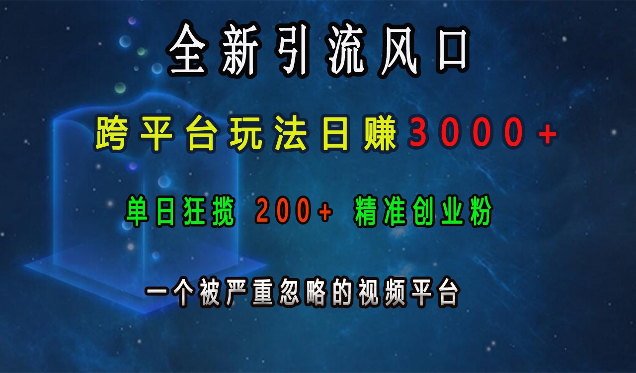 全新引流风口，跨平台玩法日赚3000+，单日狂揽200+精准创业粉，一个被严重忽略的视频平台-喃哩哩