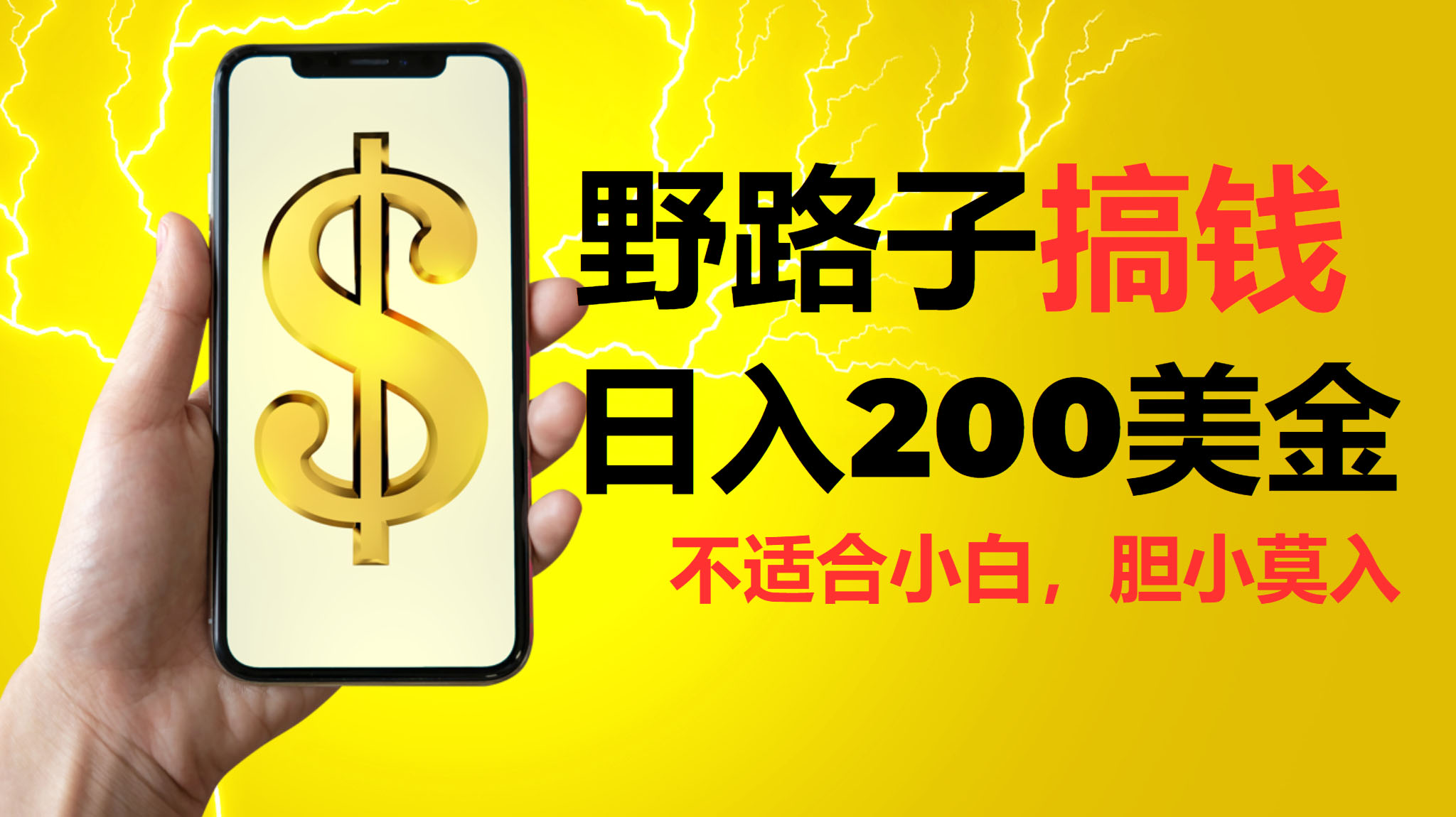 挂机野路子搞钱，日入200美金，路子很野，小白莫入-喃哩哩