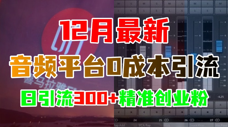 12月最新：音频平台0成本引流，日引300+精准创业粉-喃哩哩