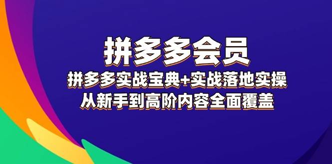拼多多 会员，拼多多实战宝典+实战落地实操，从新手到高阶内容全面覆盖-喃哩哩