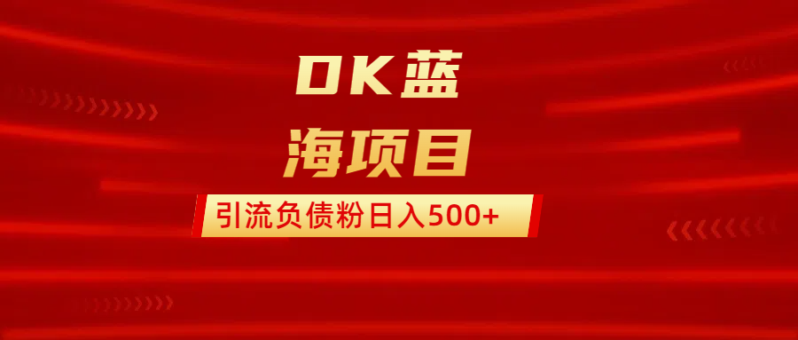 DK蓝海项目  通过，抖音，快手，小红书，引流负债粉日入500+-喃哩哩